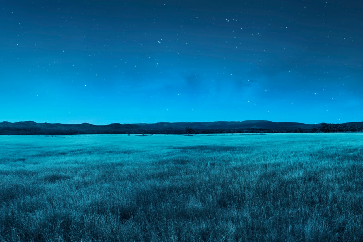 Contamination Strikes